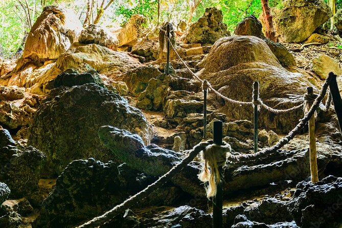 Private Full-Day: Dolphin & Monkey Jungle Adventure - Pricing Details