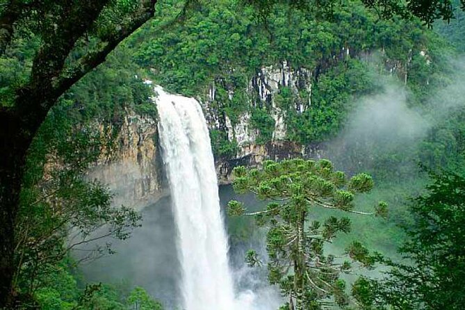 Private Gramado and Canela Day Tour From Porto Alegre - Participant Requirements