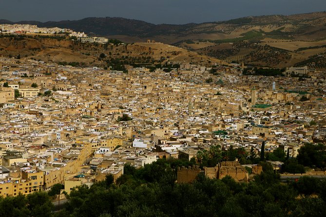 Private Guided Full-Day Tour of Fez - Exploring the Fez Medina
