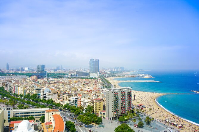 Private, Guided Shore Excursion W/ Chauffeured Vehicle - Customer Feedback and Support