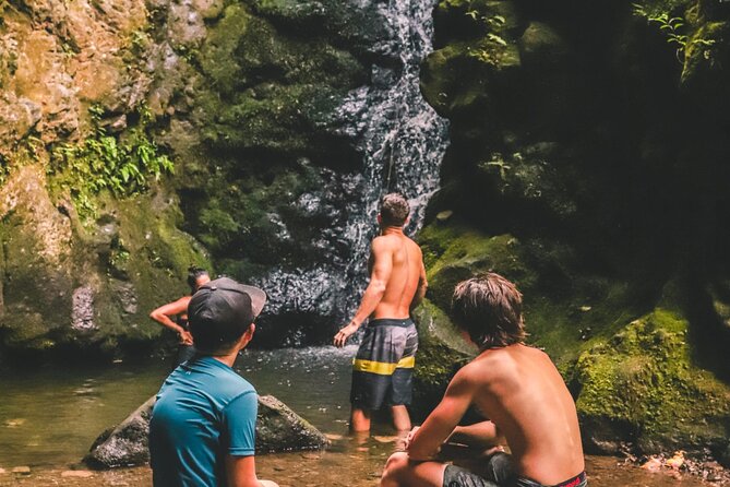 Private Guided Waterfall Hike Rainforest Adventure - Navigating Weather Changes