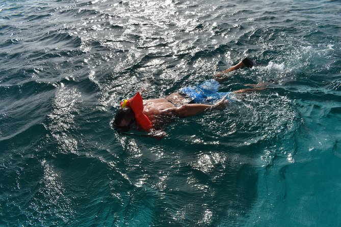 Private Half Day Charter - Reviews and Feedback
