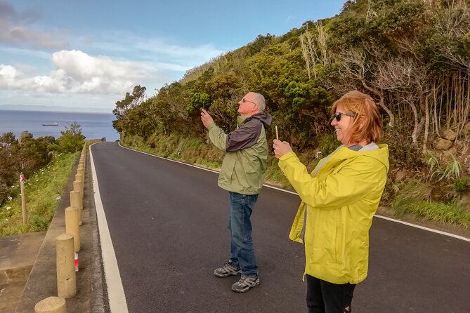 Private Half Day Tour - Faial Island (Up to 8 People) - Reviews and Ratings