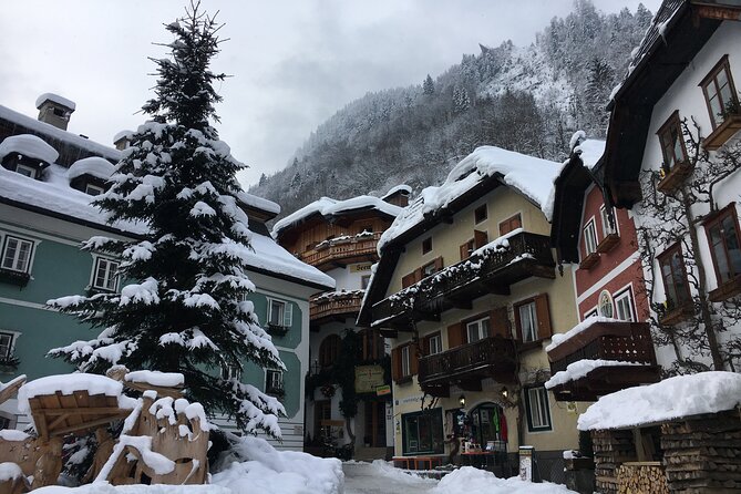 Private Hallstatt Tour With Tour End in Vienna - Pickup and Accessibility