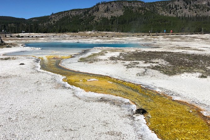 Private Hidden Gems of Yellowstone! Lunch W/ Family Friendly Hikes Included! - Locally Sourced Picnic Lunch
