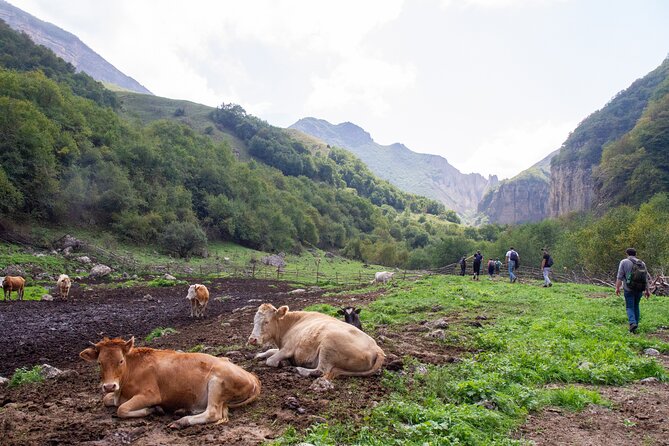 Private Hike Through Magic Valley to Laza Waterfalls - Meeting and Pickup Details