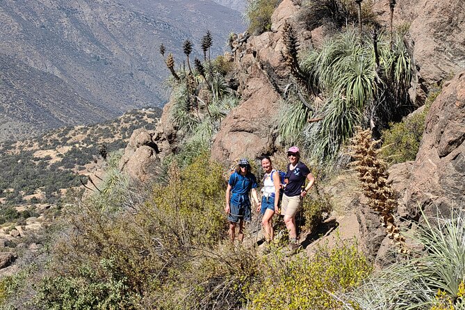 Private Hiking Experience to El Manzano Caves - Enjoying the Provided Lunch