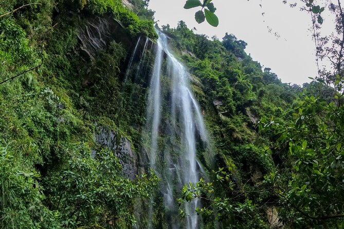 Private Hiking Tour La Chorrera Waterfall in Colombia - Explore the Stunning La Chorrera Waterfall