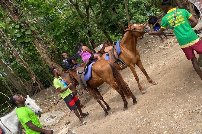 Private Horse Back Riding and Blue Hole From Montegobay - Horseback Riding Adventure