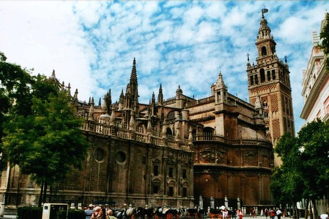 Private Horse Carriage Ride and Walking Tour of Seville - Traveler Experiences