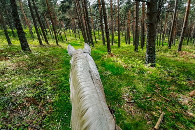 Private Horse Ride in Madrid Natural Park Reserve - Meeting Point and Transfers