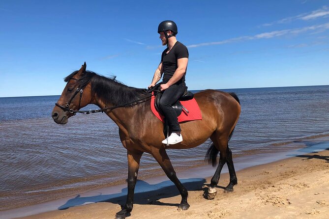 Private Horse Riding on the Beach in Riga - Guest Reviews