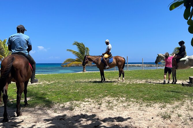 Private Horseback Ride and Swim From Montego Bay - Weather Policy