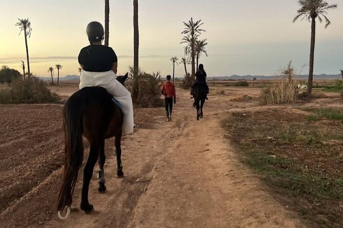 Private Horseback Ride in the Palmeraie of Marrakech - Scenic Highlights