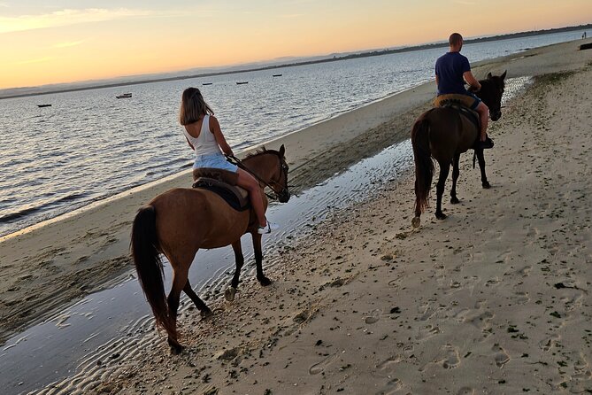 Private Horseback Riding - Accessibility and Participation