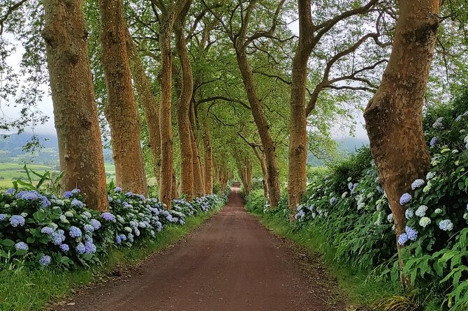 Private Jeep Tour in São Miguel Island - Confirmation and Accessibility