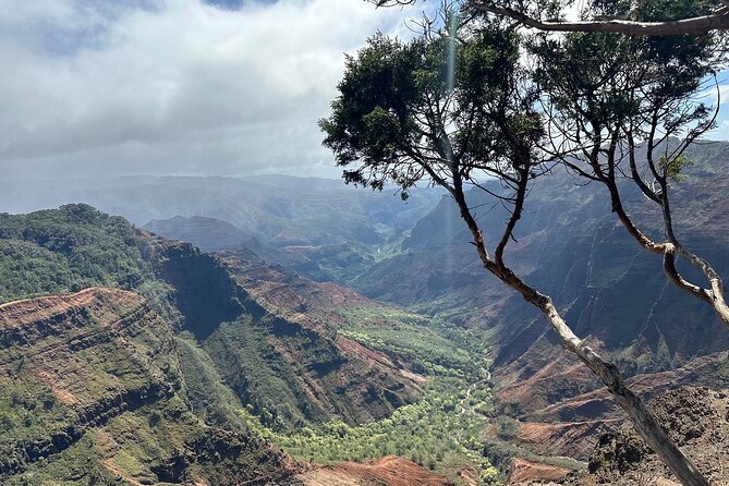 Private Kauai Island Tour-Featuring the Waimea Canyon - Customer Reviews and Testimonials