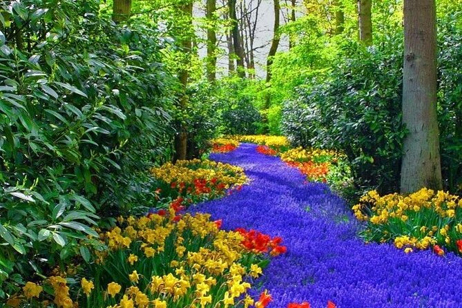 Private Keukenhof Tulip Fields & Flowers Sightseeing Tour From Rotterdam - Recommendations and Tips