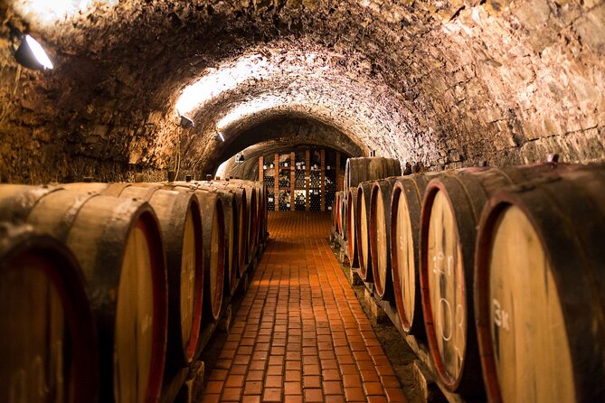 Private Lisbon Wine Tasting Trip to the Setubal Region With Hotel Pick-Up - Additional Information