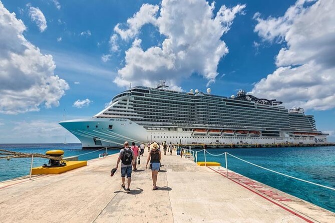 Private LUX Transfer From CIVITAVECCHIA Port to Rome or FCO - Accessibility Details