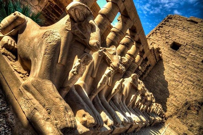 Private Luxor Tour From Hurghada (All Inclusive) - Customer Feedback