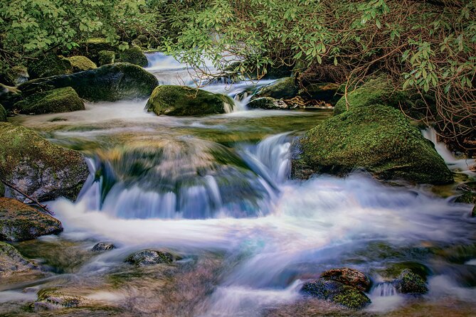 Private Luxury Full-Day Ring of Kerry Tour From Killarney - Reviews and Feedback