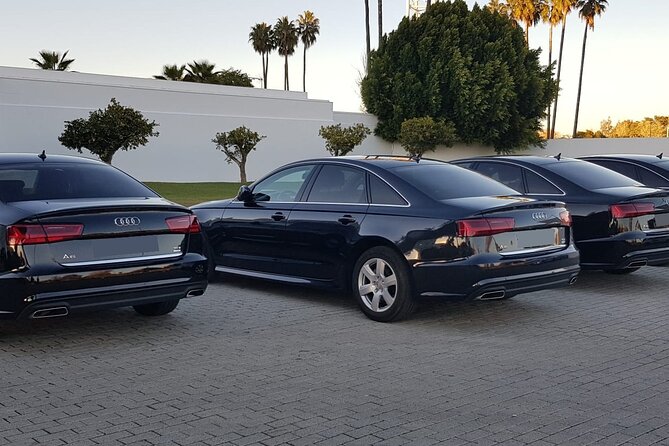 Private Malaga Transfer: Central Malaga and Costa Del Sol to Cruise Port - Pickup and Drop-off Locations