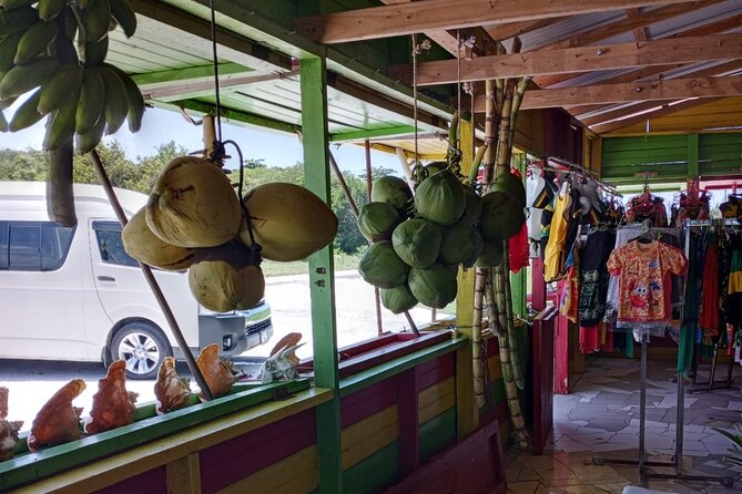 Private Montego Bay Highlights Day Tour - Customer Reviews