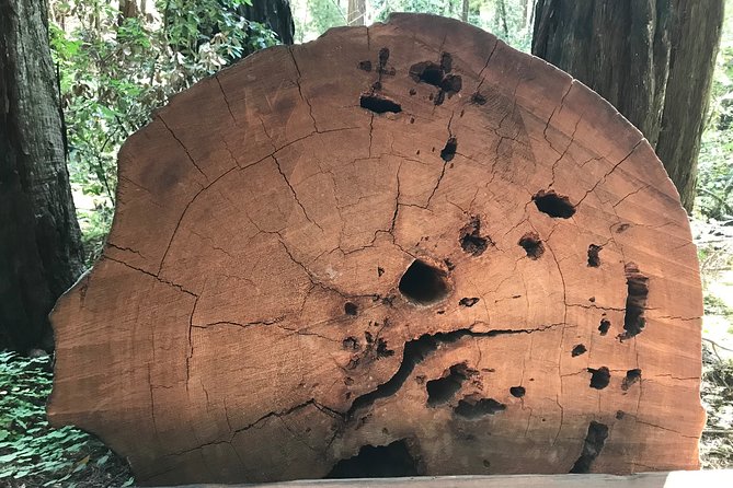 Private Muir Woods and Sausalito Half Day Tour - Tour Inclusions