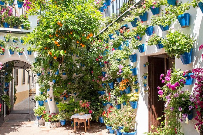 Private Multiday: Cordoba,Granada, Alhambra & Seville From Malaga - Exploring Cordoba: Highlights and Insights