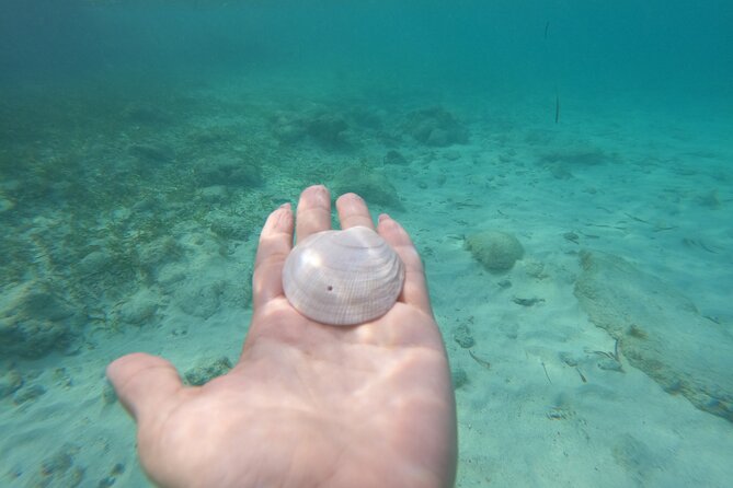 Private MUSA Snorkeling Experience at Isla Mujeres and Cancun - Health and Accessibility