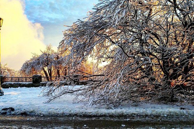 Private Niagara Ice Wine Tour - Customizable Tour Options
