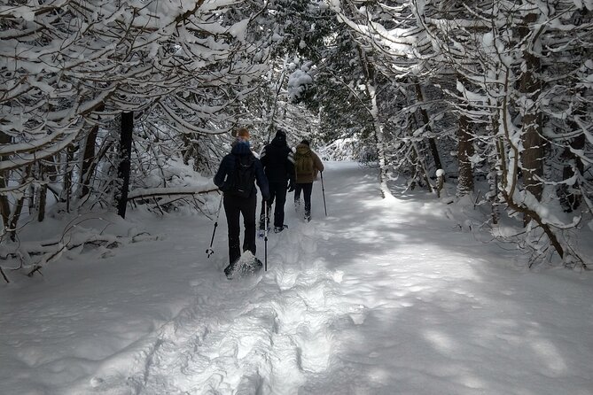Private Nottawasaga Bluffs Caves Snowshoe, Collingwood/Creemore - What to Bring