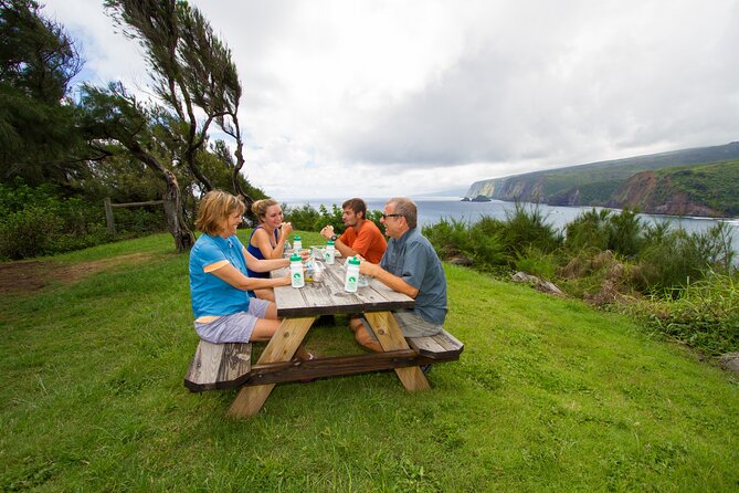 Private Ohana Kohala Waterfalls Adventure - Health and Safety Guidelines