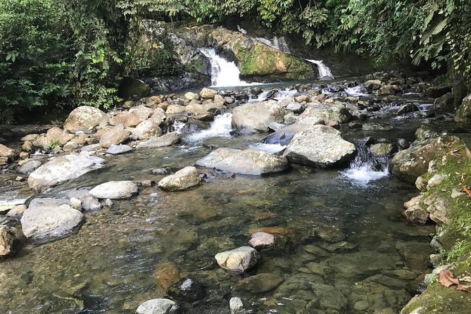 Private Rafting and Ziplining at Rio Claros Natural Reserve! - Pricing and Group Sizes