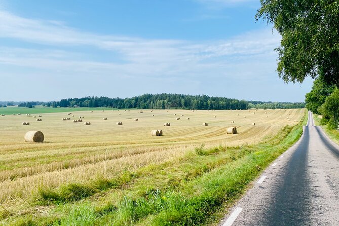 Private Roadbike Adventure in Stockholm - Emphasis on Local Culture