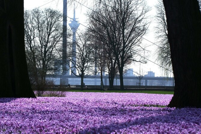 Private Running Tour in Düsseldorf - Reviews and Feedback