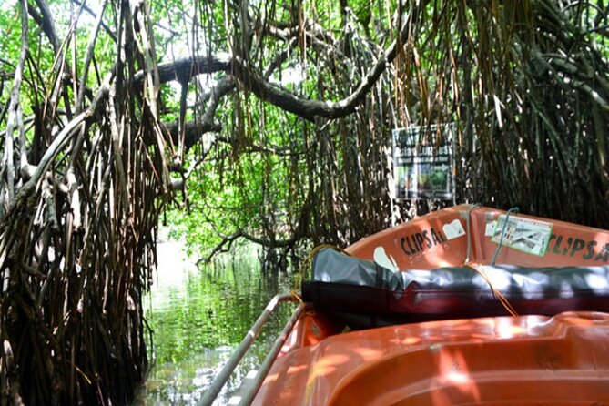 Private Safari Boat Tour in Madu River - Meeting and Pickup Information