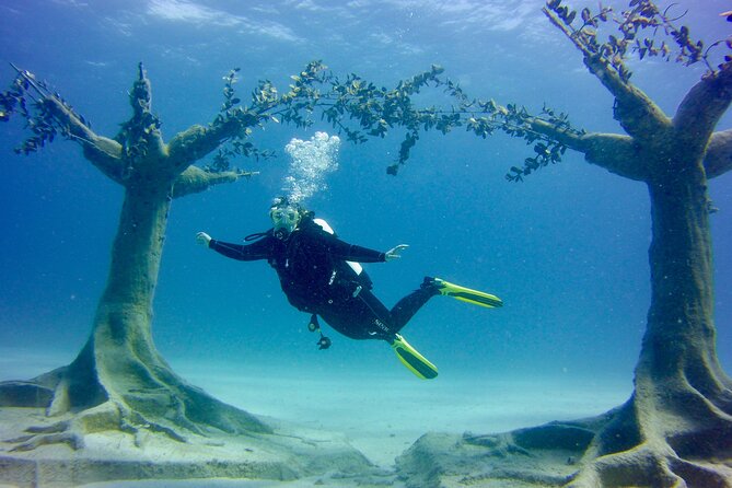 Private Scuba Dive / Try Dive at Musan Underwater Park - Start Time and Tour Type