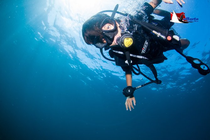 Private Scuba Diving Puerto Vallarta Undersea - Customer Reviews