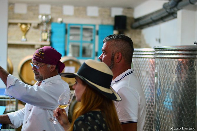 PRIVATE -Secrets of Dalmatian Karst & Wine Experience - Taking in the Karst Landscape
