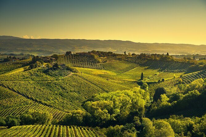 Private Siena Tour With Pisa Review - Highlights of the Trip