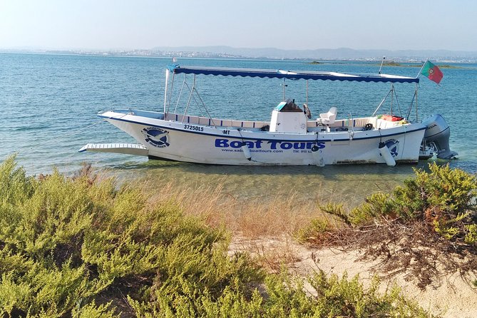 Private Sightseeing Boat Tour in Ria Formosa at Olhão - Reviews and Ratings