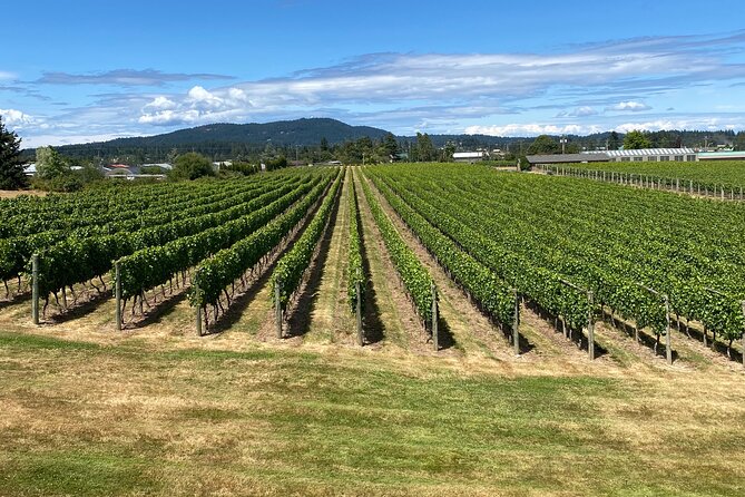 Private Small Group Local Wine and Cider Tasting, Central Saanich - Scenic Views and Surroundings