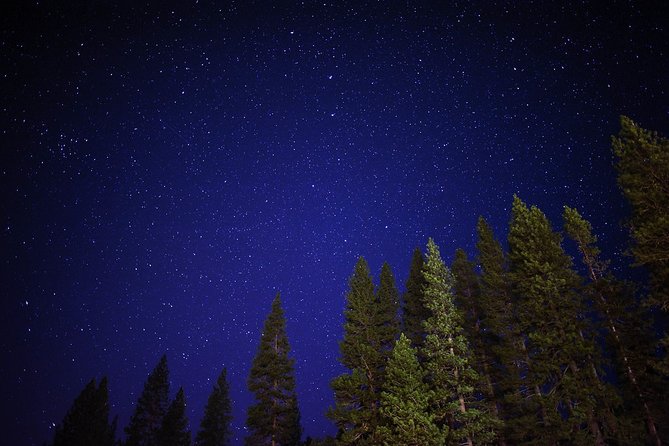 Private Stargazing - Sequoia National Park - Highlights of the Night Sky