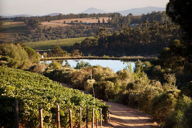 Private Stellenbosch, Franschhoek and Paarl Wine Tour - Pricing and Cancellation Policy