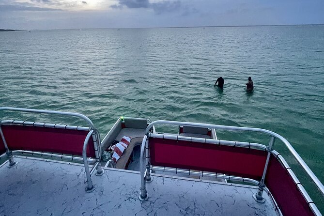 Private Sunset Cruise and Dolphin Sighting - Dolphin Spotting Highlights