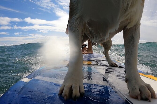 Private Surf Lessons in Maui - Meeting Location and Arrival Tips