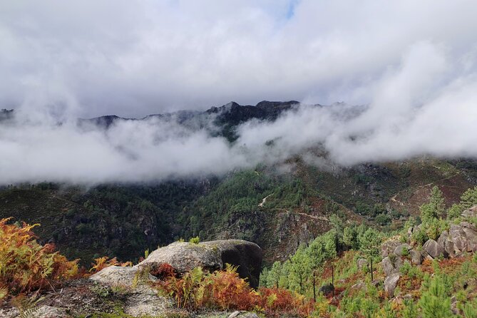 Private & Taylor Made Experience in Gerês National Park - Accessibility and Participation