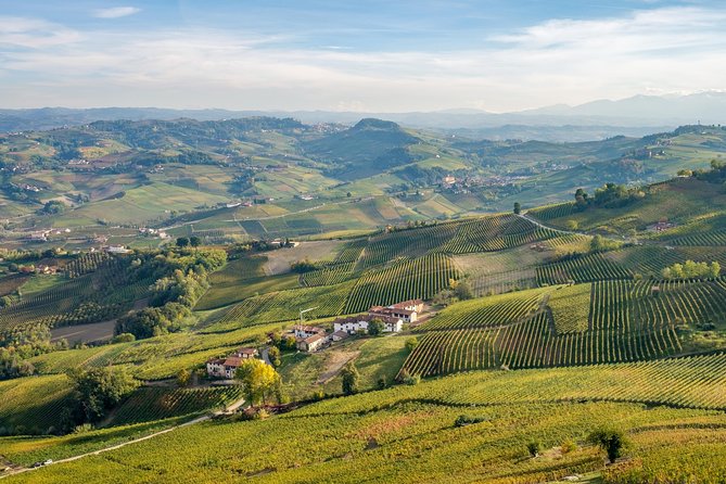 Private Tour: Barolo Wine Tasting in Langhe Area From Torino - Itinerary and Accessibility